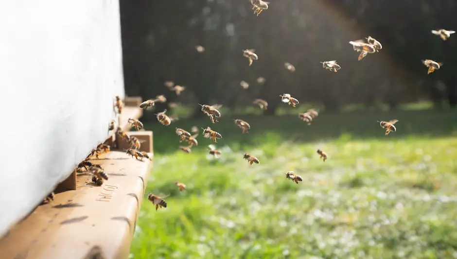 Do Honey Bees Pollinate Tomatoes Easy & Clear Answer