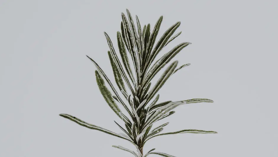 is rosemary a perennial in zone 5