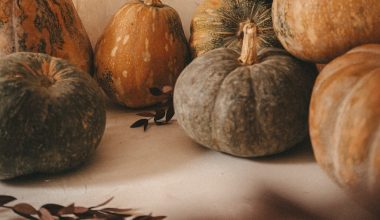 how to store cooked pumpkin seeds