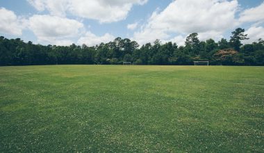 how to get all the weeds out of your lawn