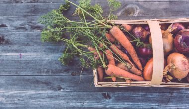 how to plant vegetables in a raised bed