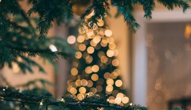 how to decorate outdoor trees for christmas