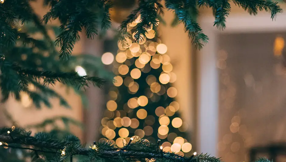 how to decorate outdoor trees for christmas