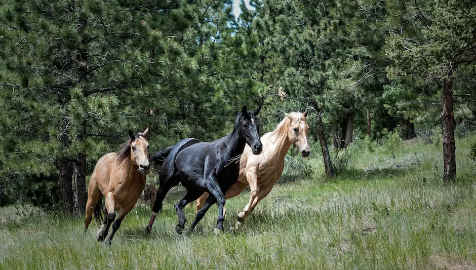 can horses eat rye grass