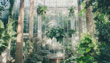 how to set up a greenhouse
