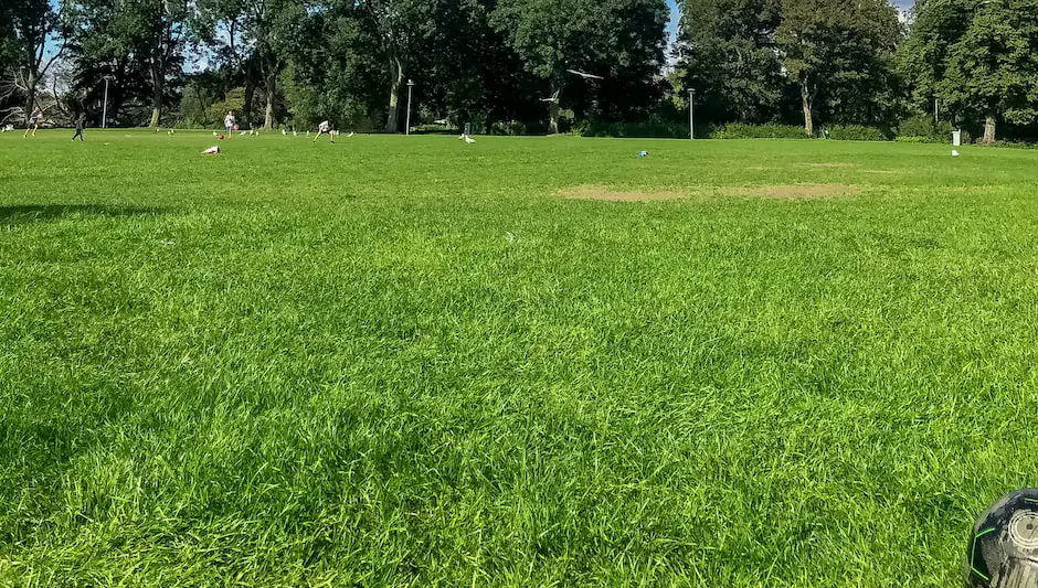 Can I Plant Grass Seed In Spring? The Best Explanation