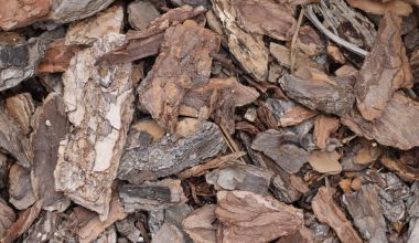 what is the best kind of mulch for landscaping