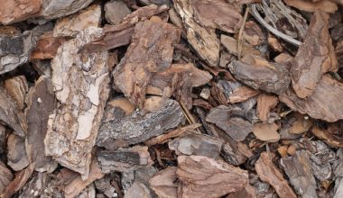 how to prepare yard for mulch