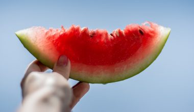 can you compost watermelon rind