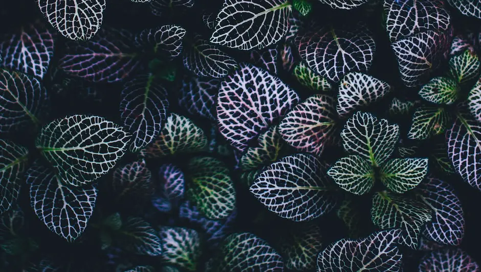 are hostas perennials