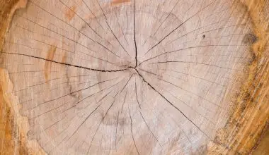 how to hollow out a tree stump