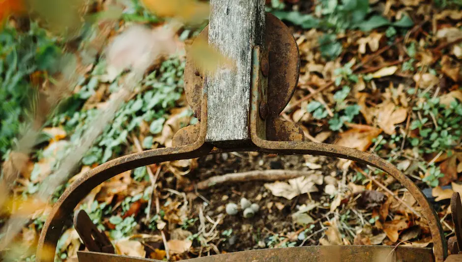 how to dethatch a lawn with a mower attachment