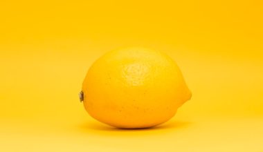 how to make lemon tree grow more fruit