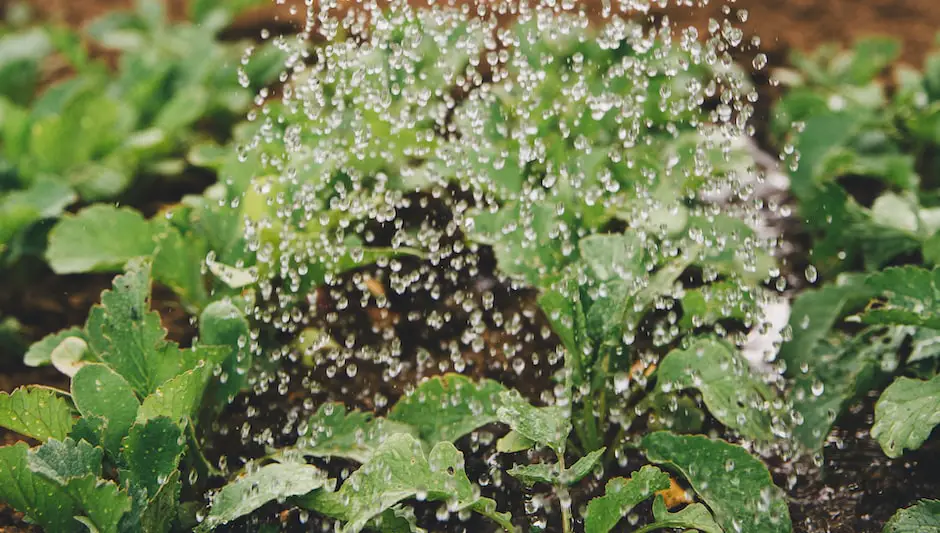 how to do a raised garden bed