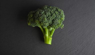 how tall do broccoli plants grow