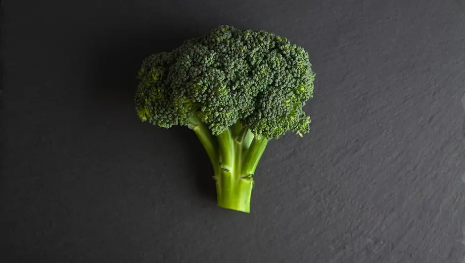 how tall do broccoli plants grow