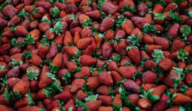 should i cut leaves off strawberry plants