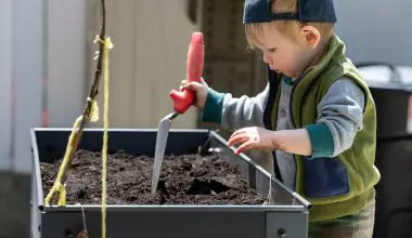 how to set up a raised garden bed