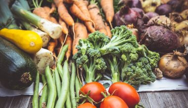 how to grow organic vegetables in a greenhouse