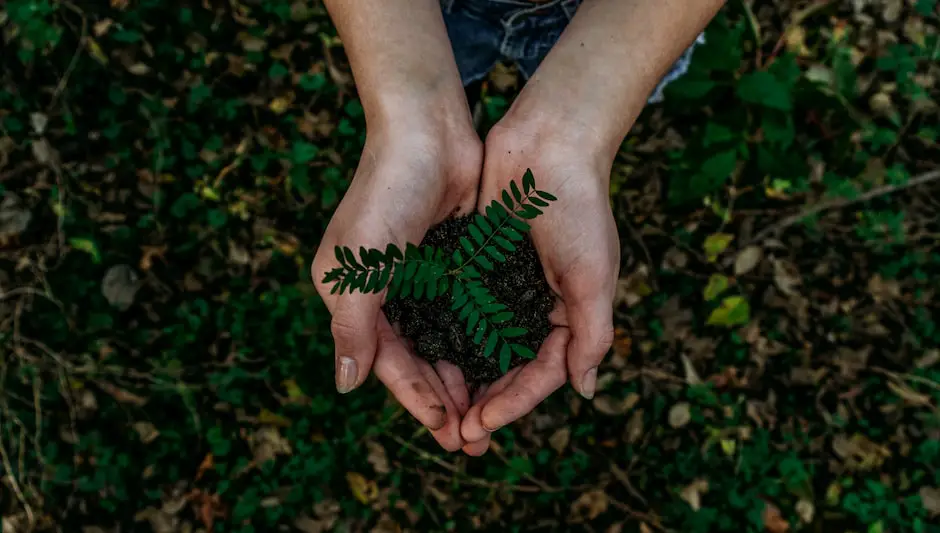 when to plant grass in oregon