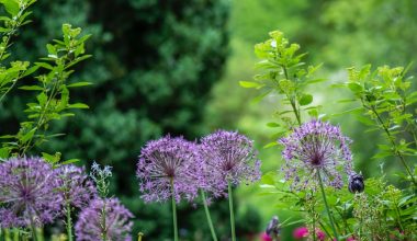 how to separate grass from flower bed