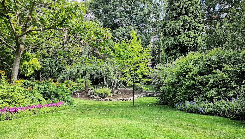 how often to water lawn in summer
