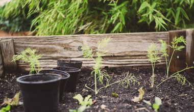 how to compost in colorado