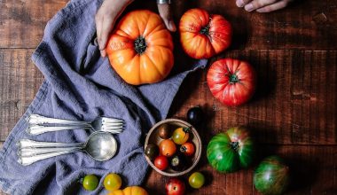 can you grow a tomato plant indoors