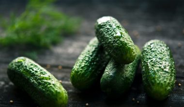 how long for cucumber seeds to germinate