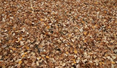 how to measure amount of mulch needed
