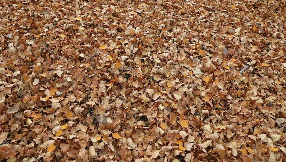 how to measure amount of mulch needed