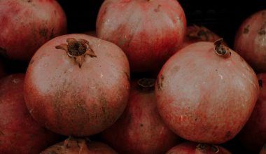 how to plant pomegranate seeds