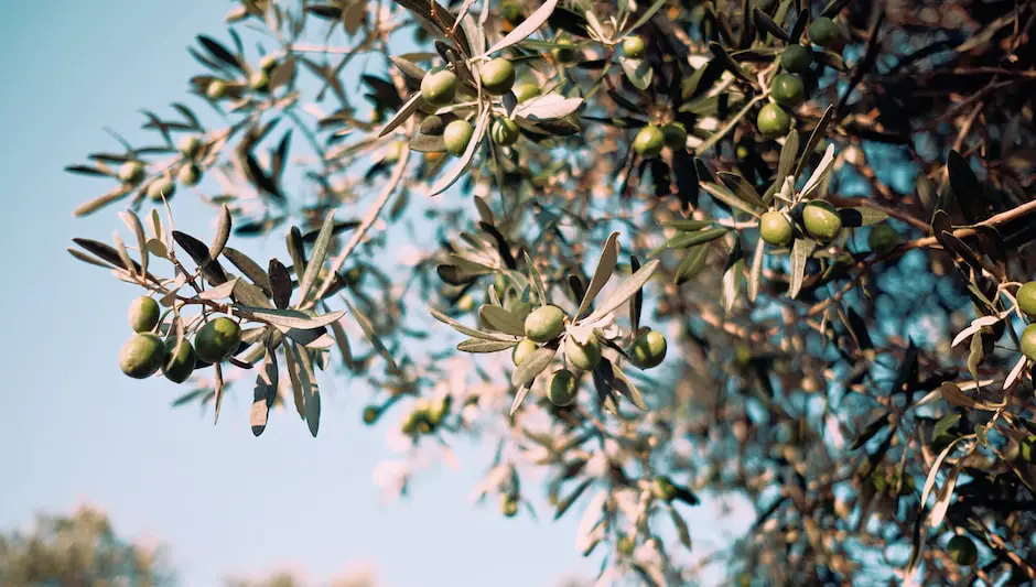 where does thistle bird seed come from