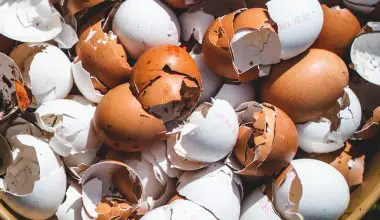 are eggshells good for compost