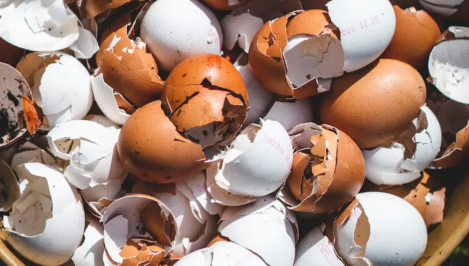 are eggshells good for compost