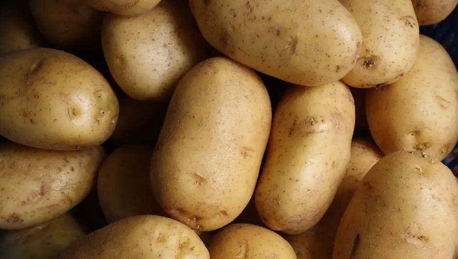 are potatoes perennial