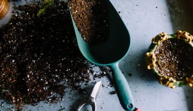 how to spread compost on lawn