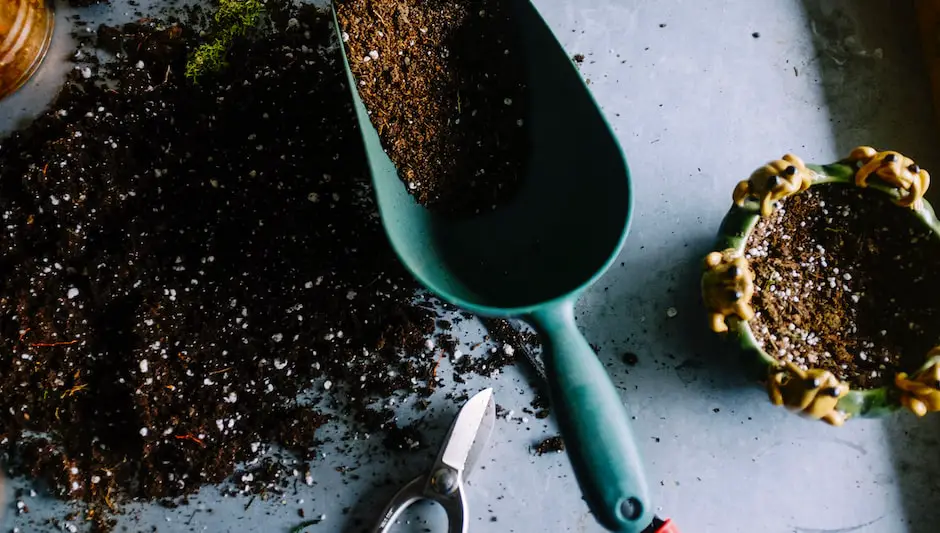 how to spread compost on lawn