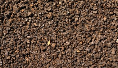 what factors determine soil consistence