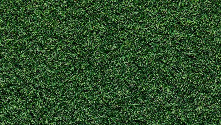 when should i overseed my lawn