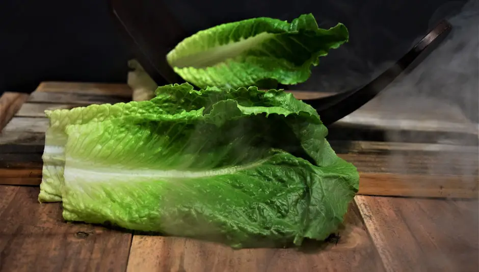 how to grow romaine lettuce seeds