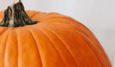 how to prune pumpkins