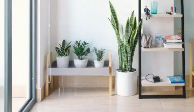 how to start your own indoor garden