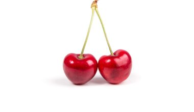 when to prune fruit trees in minnesota
