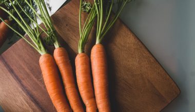 can you grow carrots in a pot