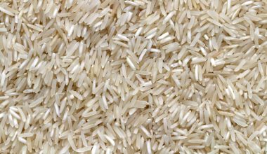 can cooked rice be composted