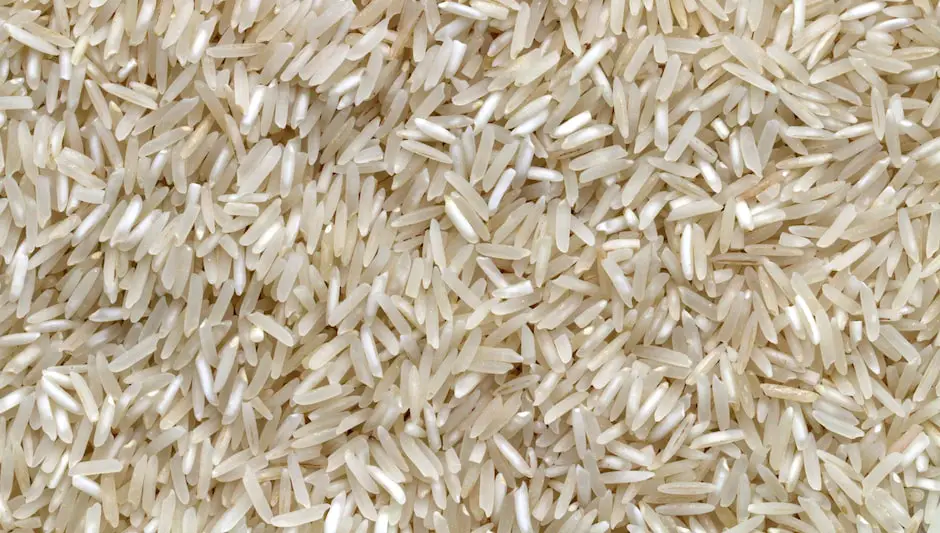 can cooked rice be composted