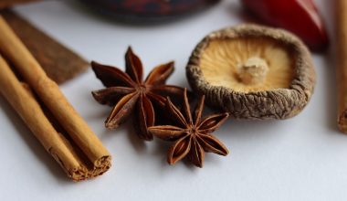 what is anise seed