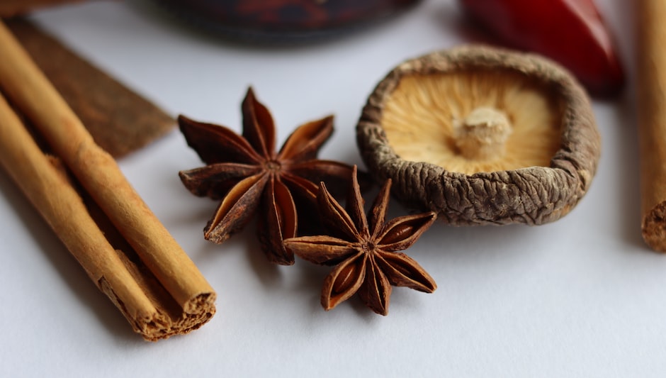 what is anise seed