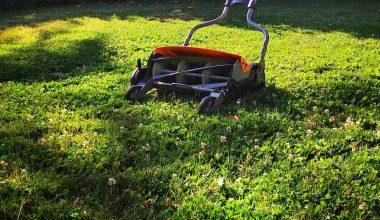 why does my lawn mower keep dying